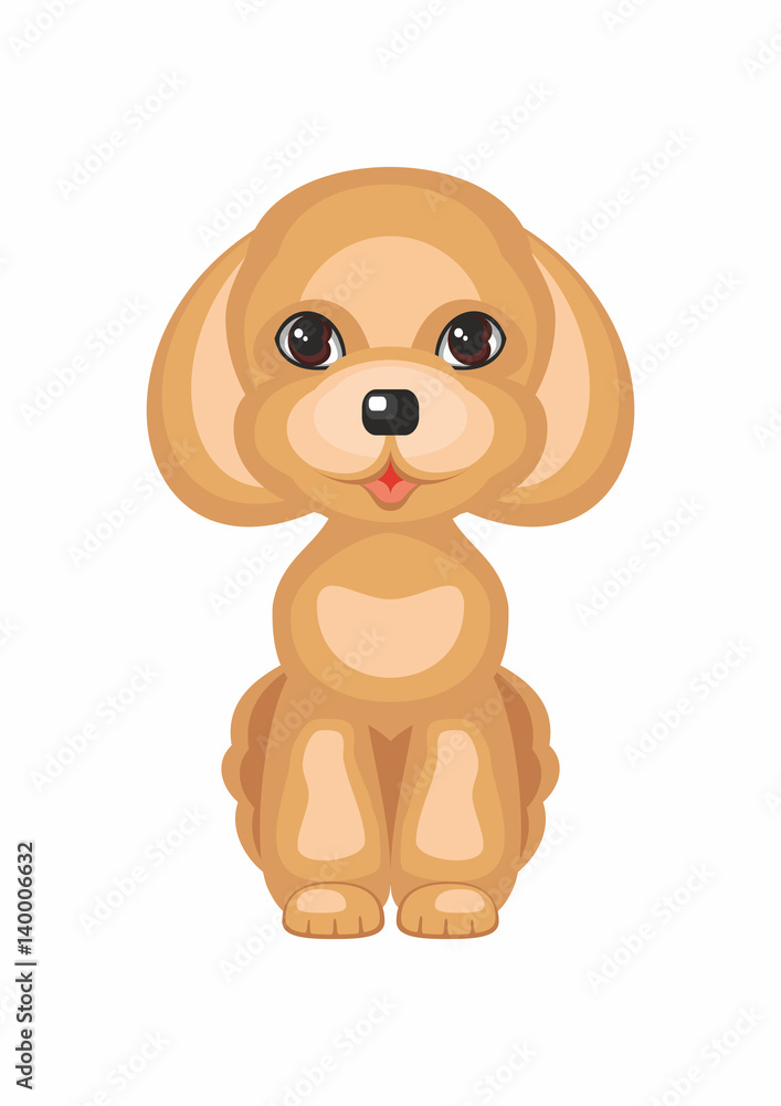 Fototapeta premium Toy poodle. Vector image of a cute purebred dogs in cartoon style.