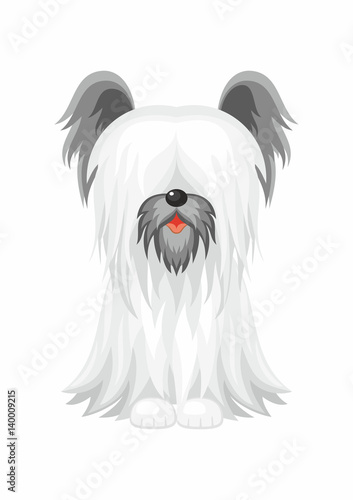 Skye Terrier. Vector image of a cute purebred dogs in cartoon style.