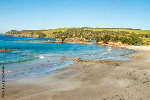 coastline with sand beach and rocks  sea background  new zealand nature