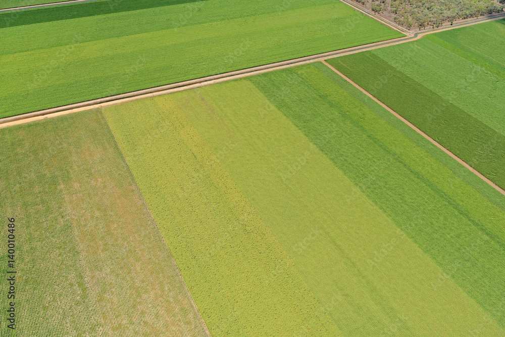 Aerial view over sugar cane field patterns near Ayr, North Queensland, Australia