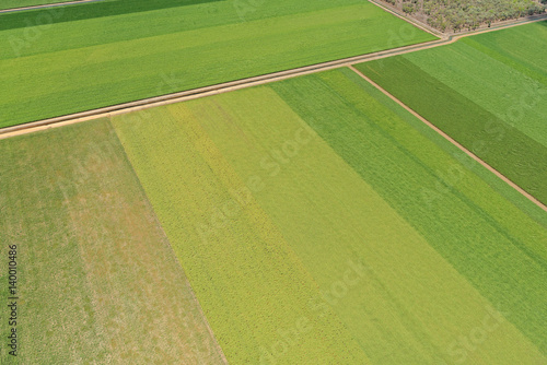 Aerial view over sugar cane field patterns near Ayr, North Queensland, Australia