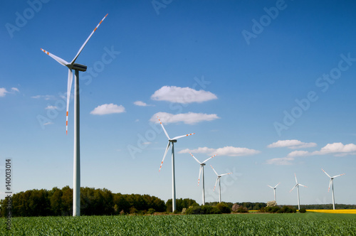 Wind turbine in rape field