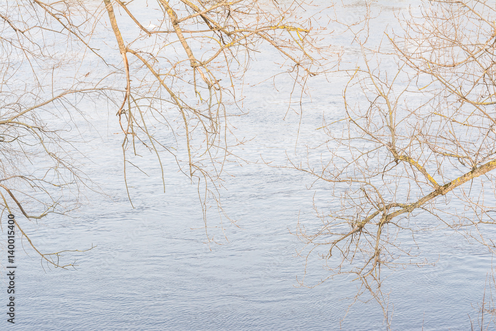 Branches of trees with swelling buds in the light of the setting sun are located above the fast current of the spring river, nature background Branches of trees with swelling buds in the light of the setting sun are located above the fast current of the spring river, nature background
