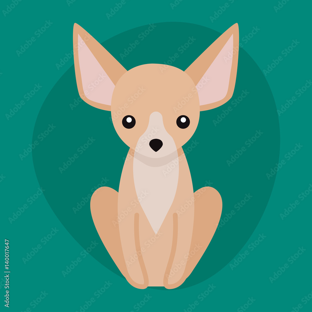 Funny cartoon dog character bread illustration in cartoon style puppy and chihuahua isolated friendly mammal adorable mascot canine vector illustration.