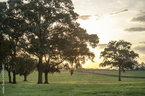 Thoroughbred horse farm at sunset, Ocala, Florida.