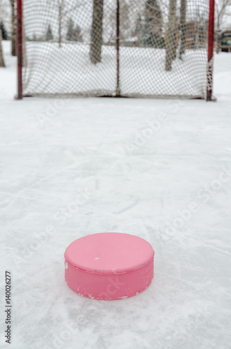 Photography Pink hockey puck close-up with hockey net outdoor rink