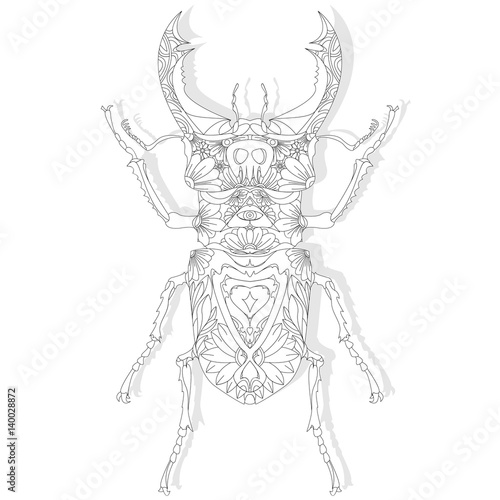 Beetle. Hand drawn sketch.