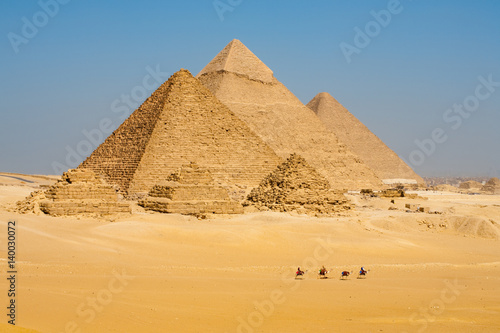 Row of Camels Walking at Great Egyptian Pyramids in Giza  Egypt