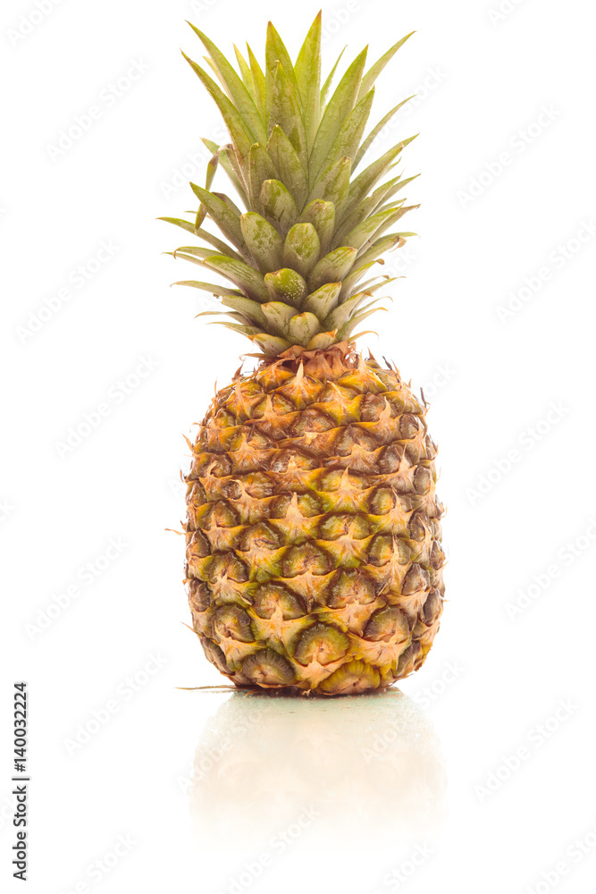 Pineapple On White Pineapple On White