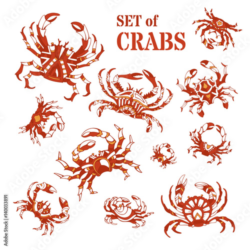Vector set of hand-drawn crabs.