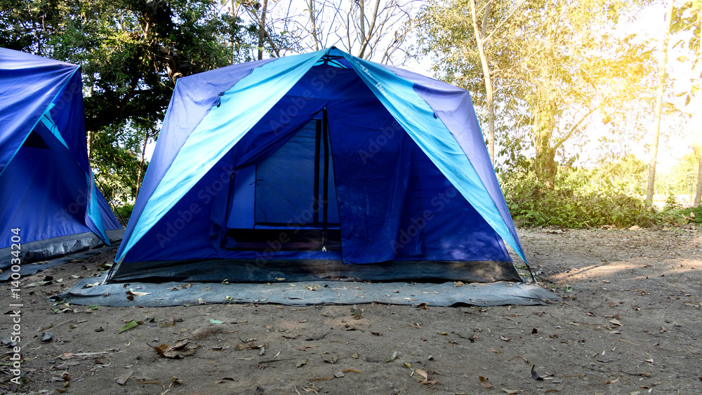 blue tent camping in forest