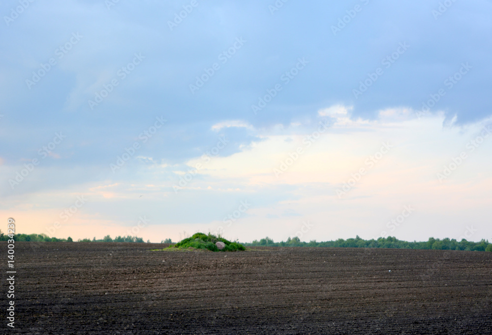 Spring landscape: a plowed field under a beautiful blue sky Spring landscape: a plowed field under a beautiful blue sky