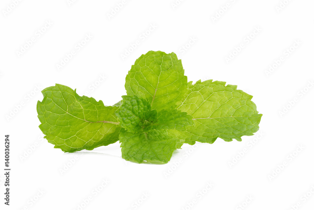 Mint leaves isolated on white background. Mint leaves isolated on white background.