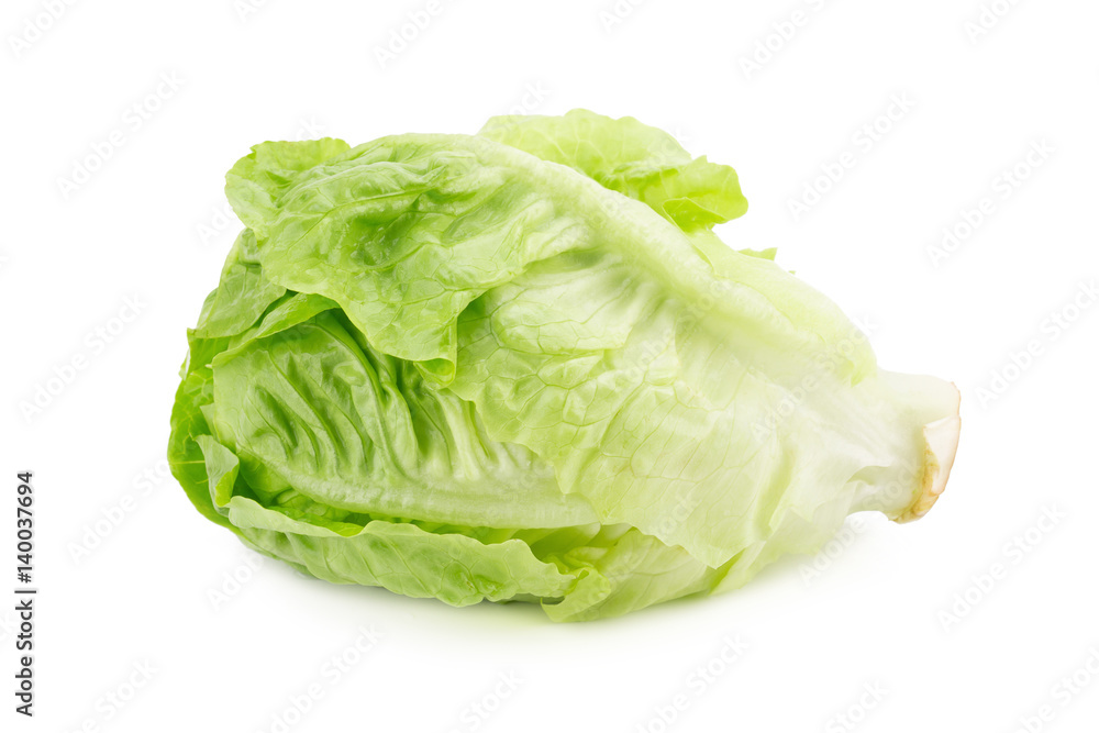 Romain Lettuce isolated on a white background.