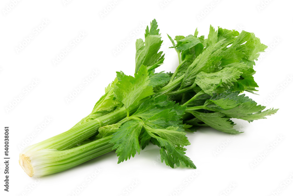fresh celery isolated on a white background. fresh celery isolated on a white background.