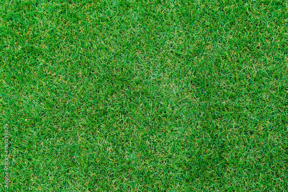 Fototapeta premium Top view of Artificial Grass