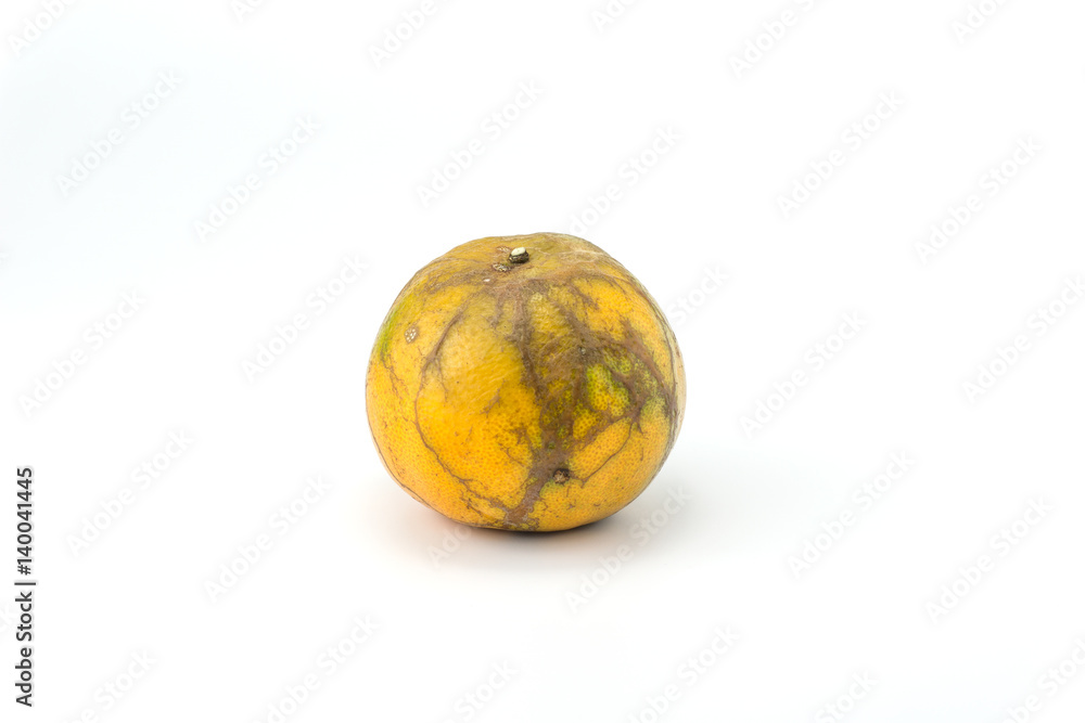 Mandarin Orange Ripe Mandarin Orange Ripe