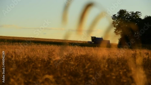 Żniwa - Kombajn koszący pola zboża