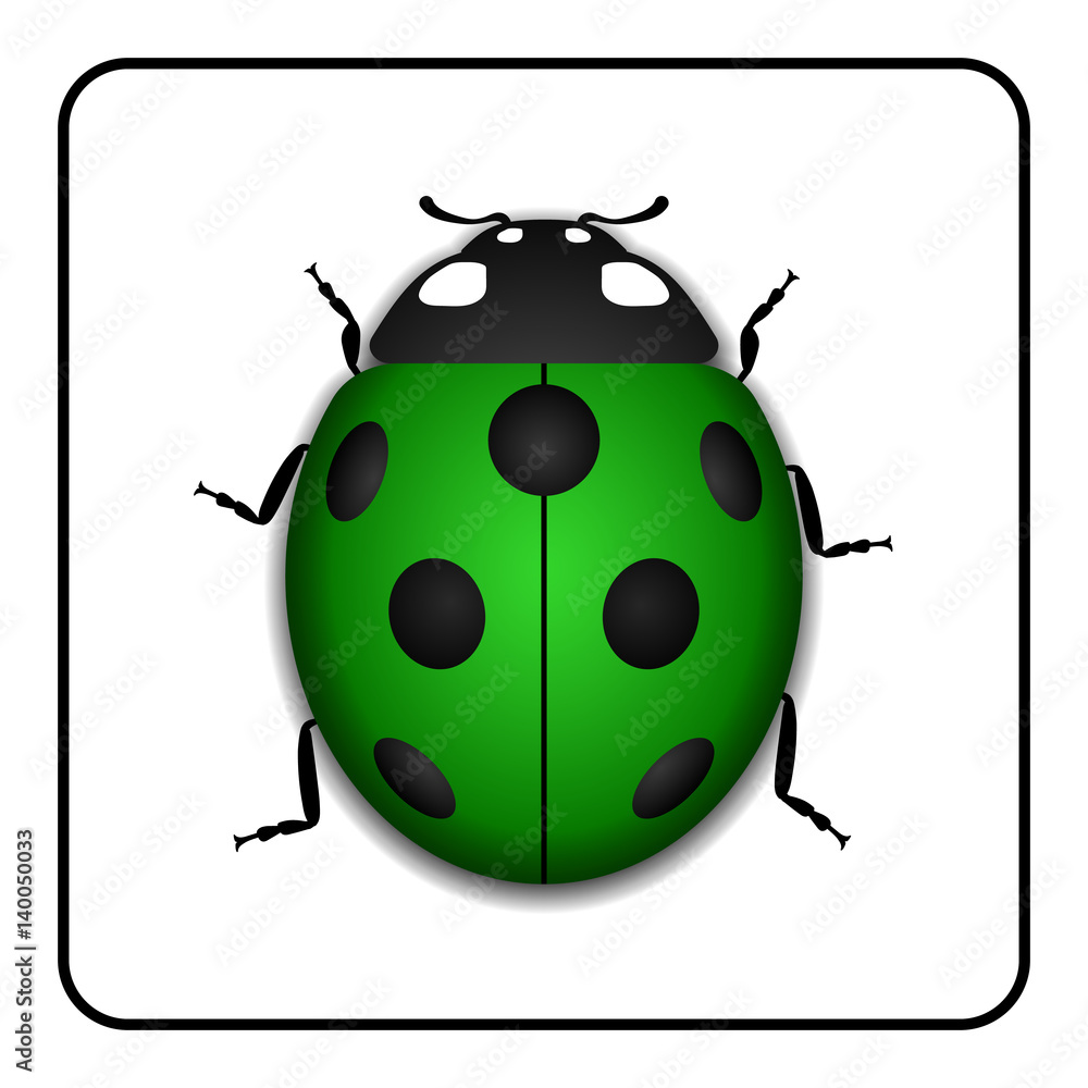 green ladybug