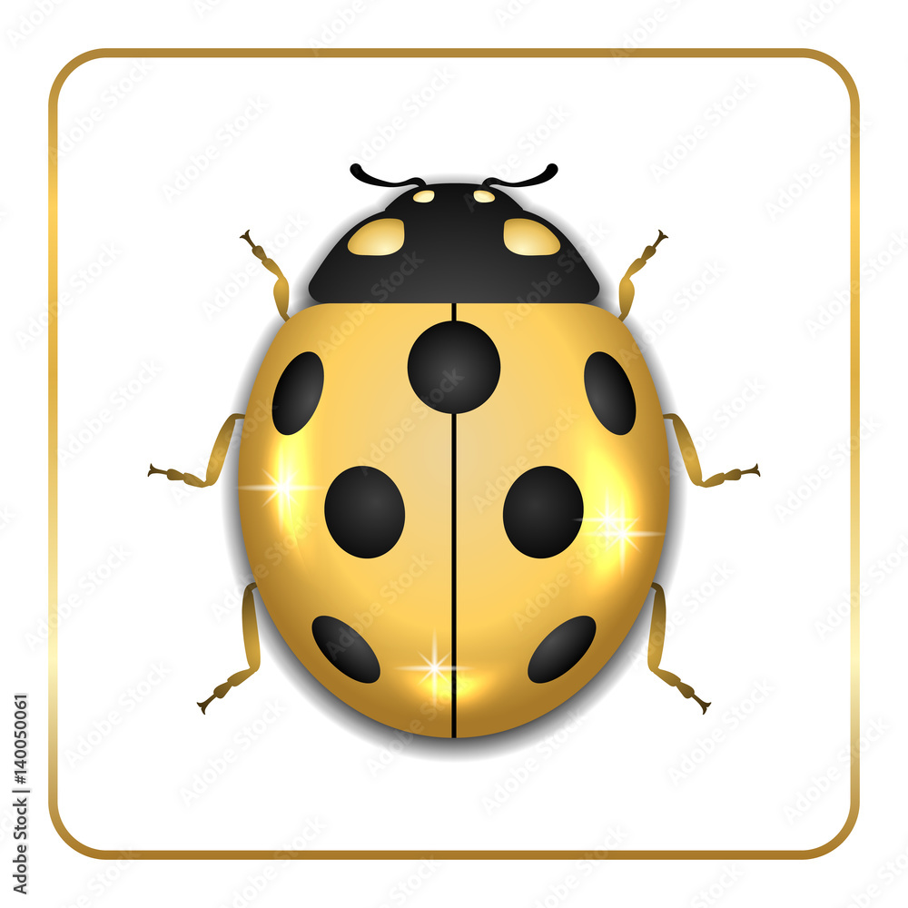 Obraz premium Ladybug gold insect small icon. Golden lady bug animal sign, isolated on white background. 3d volume design. Cute jewelry ladybird design. Cartoon lady bird closeup beetle. Vector illustration
