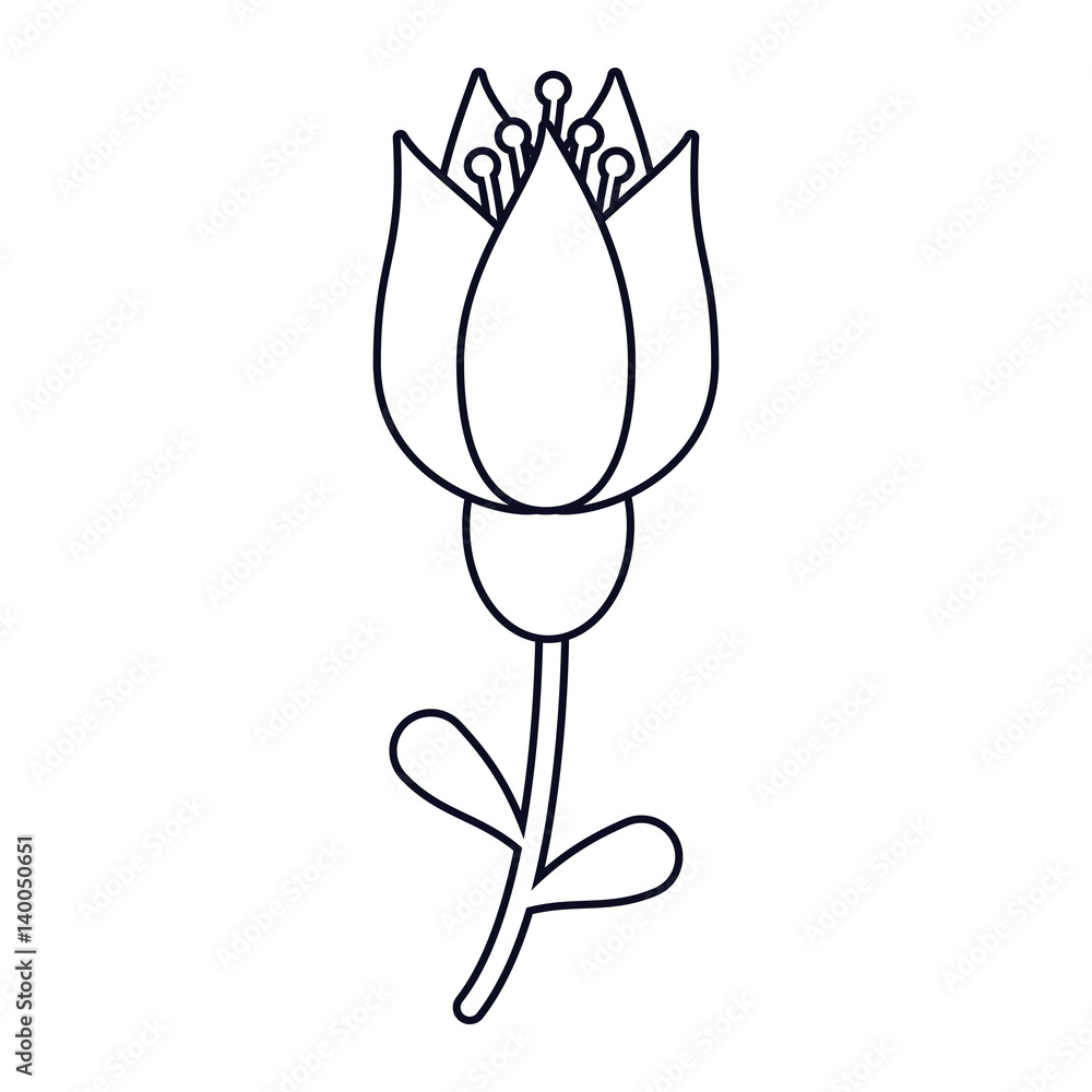 tulip flower decoration line vector illustration eps 10
