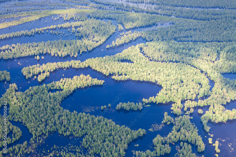 Aerial view flooded forest plains in summer.