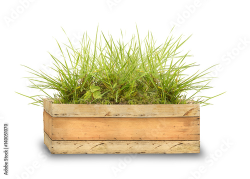wooden box with green grass
