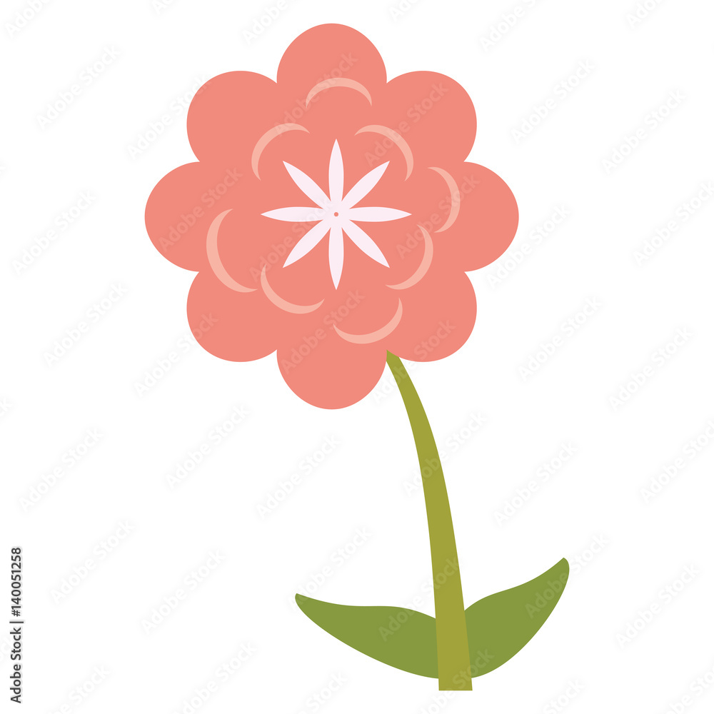 canna flower decoration image vector illustration eps 10