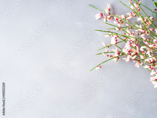 Spring easter broom floral minimal pastel color background with copy space. Top view. Woman Valentine mother day greeting card