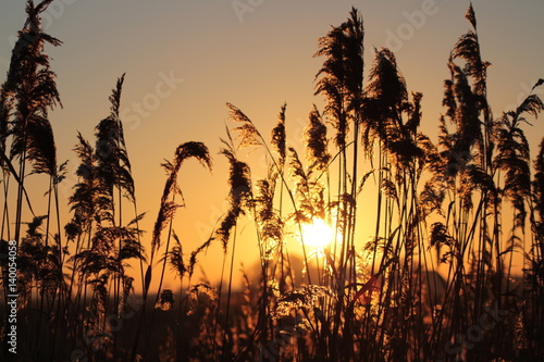 Sonnenuntergang im Herbst 3