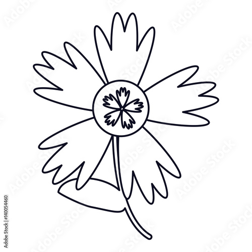 flower spring decoration outline vector illustration eps 10