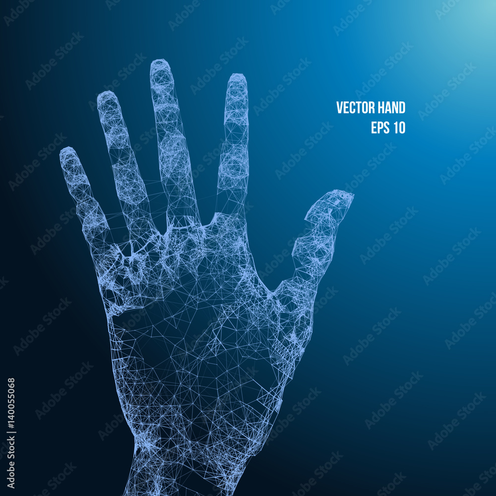 Vector hand Vector hand