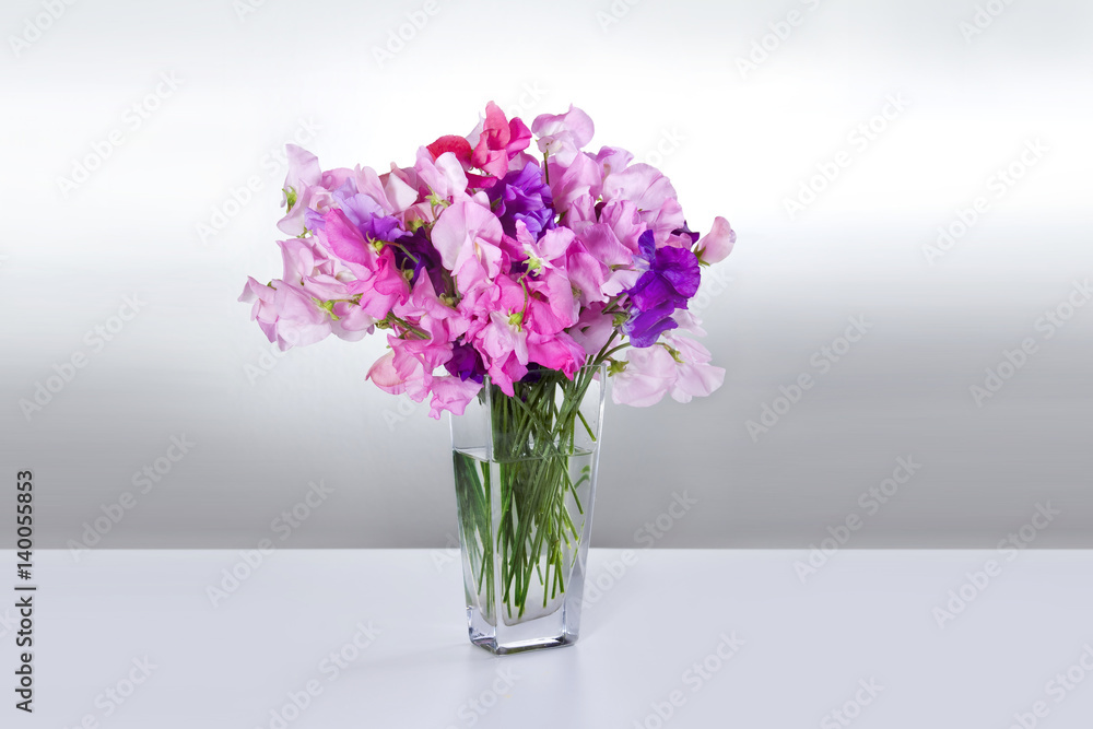 Flowers peas in vase on white table