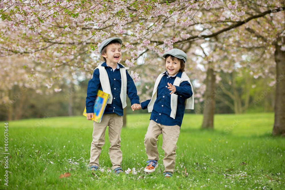 Two cute children, boy brothers, walking in a spring cherry blossom garden Two cute children, boy brothers, walking in a spring cherry blossom garden