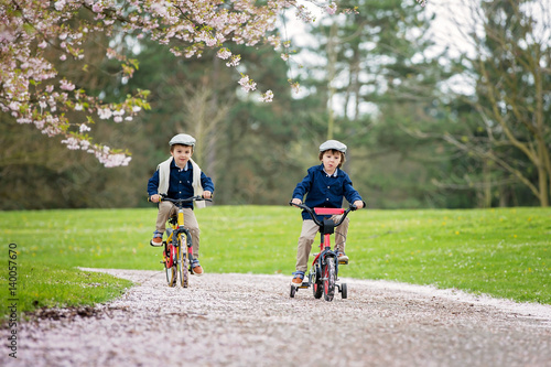 Sweet little preschool children, riding a bike in a cherry blossom garden