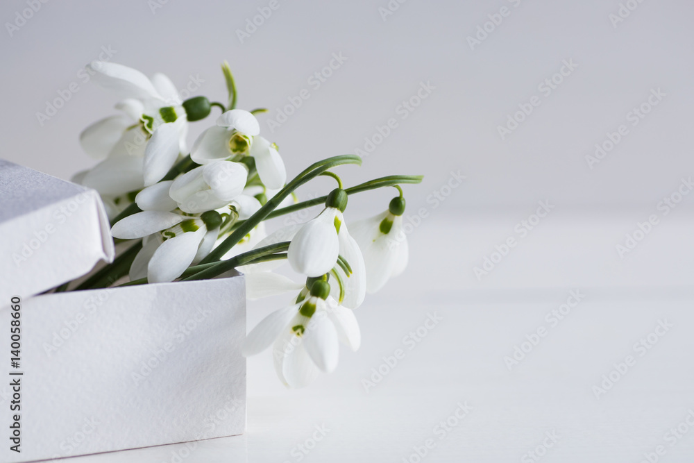 Bouquet of beautiful white snowdrops in box on white wooden background Bouquet of beautiful white snowdrops in box on white wooden background