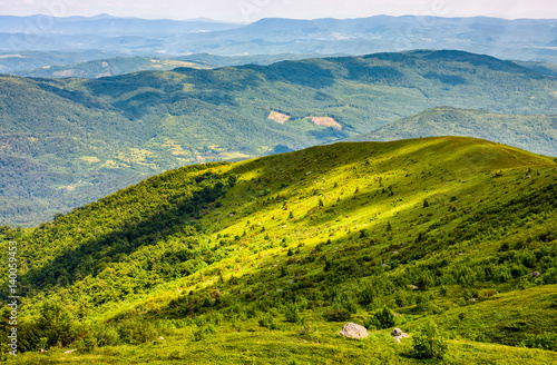 grassy hillside on mountain in summer