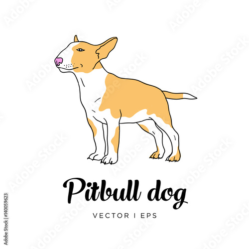 Vector editable colorful image depicting a cute pit bull puppy dog. Isolated on a white background. 