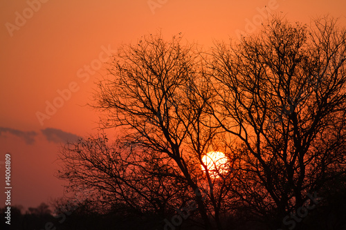 sunset in the kruger national park south africa