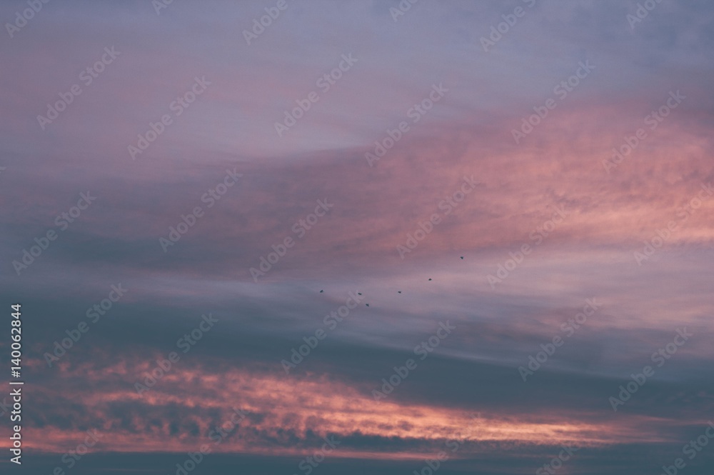 Sunset sky clouds and flying birds