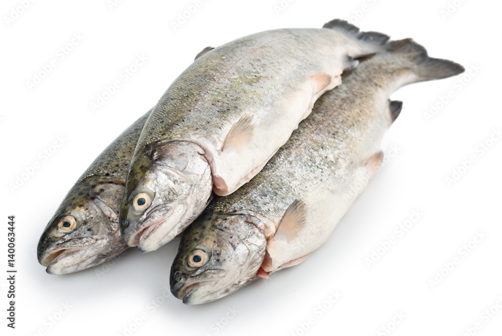 Three fresh trout fish isolated, diagonal