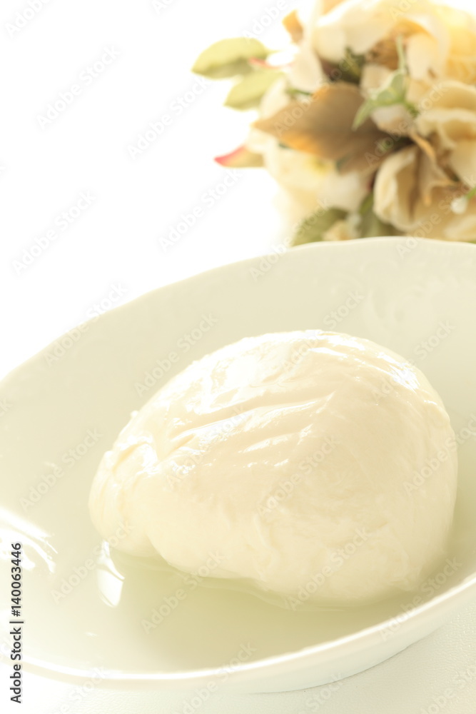 mozzarella cheese mozzarella cheese