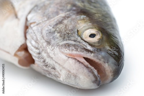 Fresh fish head close-up
