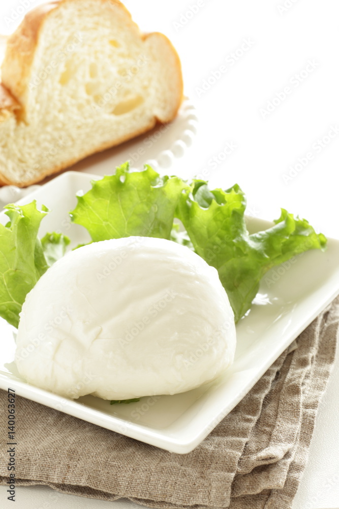 mozzarella cheese mozzarella cheese