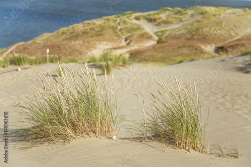 Fototapeta Naklejka Na Ścianę i Meble -  A beautiful sand dunes in a Neringa National park