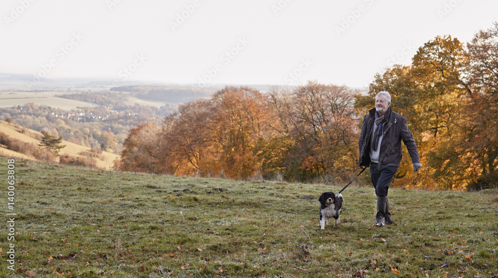 Senior Man Taking Dog For Walk In Autumn Landscape Senior Man Taking Dog For Walk In Autumn Landscape