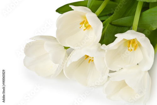 White tulips flowers bouquet