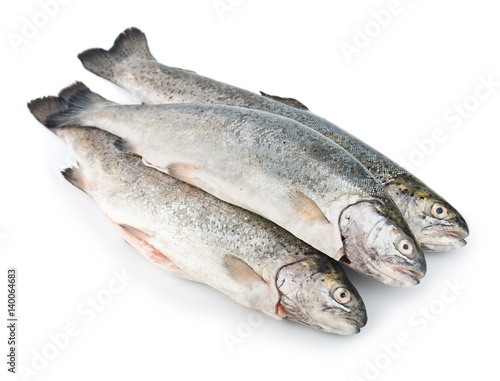 Three fresh trout fish isolated