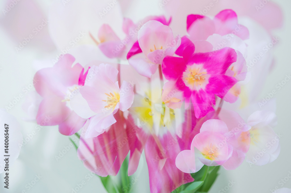 Beautiful double exposure picture with spring flowers
