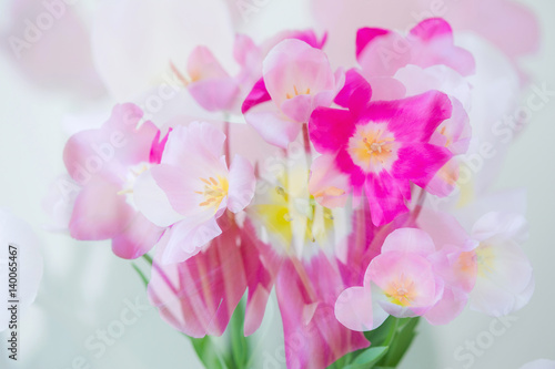 Fototapeta Naklejka Na Ścianę i Meble -  Beautiful double exposure picture with spring flowers